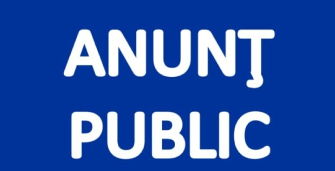 Raport de activitate Lupu Valerica_2024